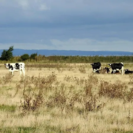 Scenic Golf Retreat-by Traum * Bogense